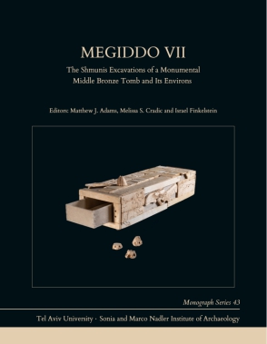 Cover for Megiddo VII